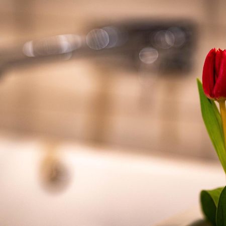 Logis Hotel Quartier 5, Saechsische Schweiz, Mit Restaurant, Cafe & Bar Kurort Gohrisch Luaran gambar