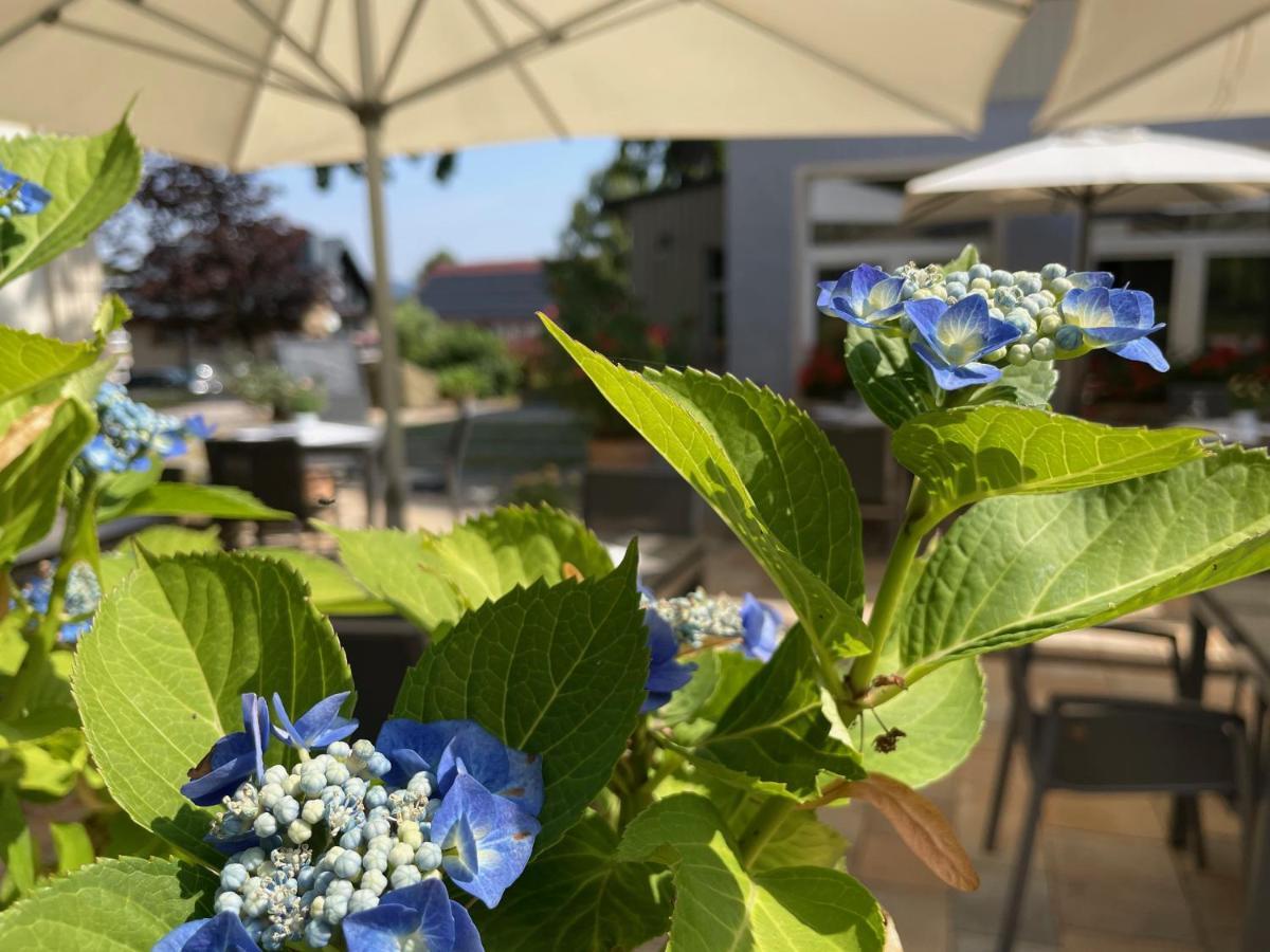 Logis Hotel Quartier 5, Saechsische Schweiz, Mit Restaurant, Cafe & Bar Kurort Gohrisch Luaran gambar